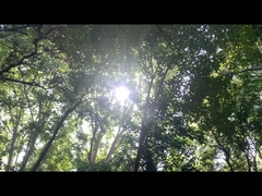 Электрическое питание для динамиков Bluetooth 192WH литий-железофосфатная батарея